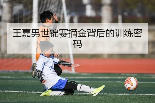 img_1791351357829_767_1_681.jpg
